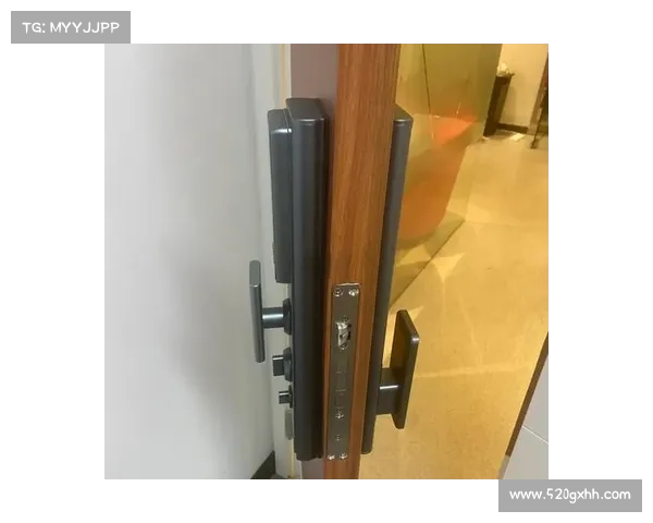 轻松破解各种锁具的终极技巧与方法全解析 轻松破解各种锁具的终极技巧与方法全解析
