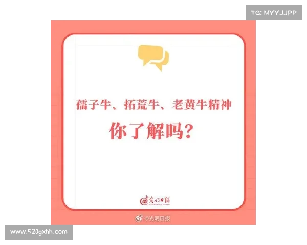老头杯赛事的文化精神探析与深层解读 老头杯赛事的文化精神探析与深层解读