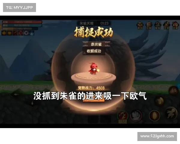 揭开朱雀天境神秘面纱全面解析不可不知的七重入境修炼步骤 揭开朱雀天境神秘面纱全面解析不可不知的七重入境修炼步骤